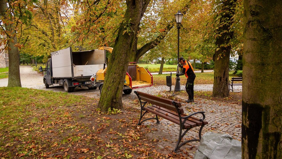 Zespol ds. Medialnych