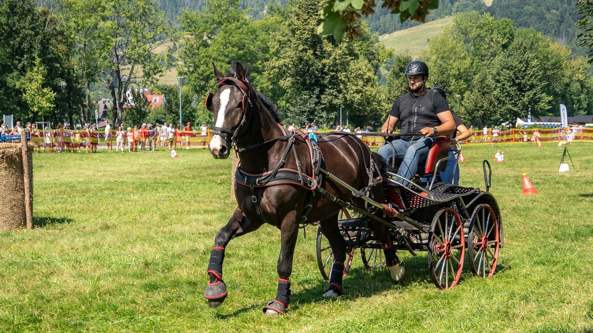 Zakopane, powożenie