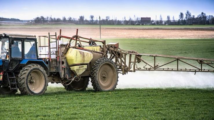 Tragedia na Mazowszu 
