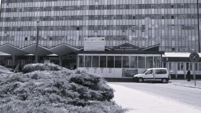 Wojewódzki Szpital Zespolony w Płocku