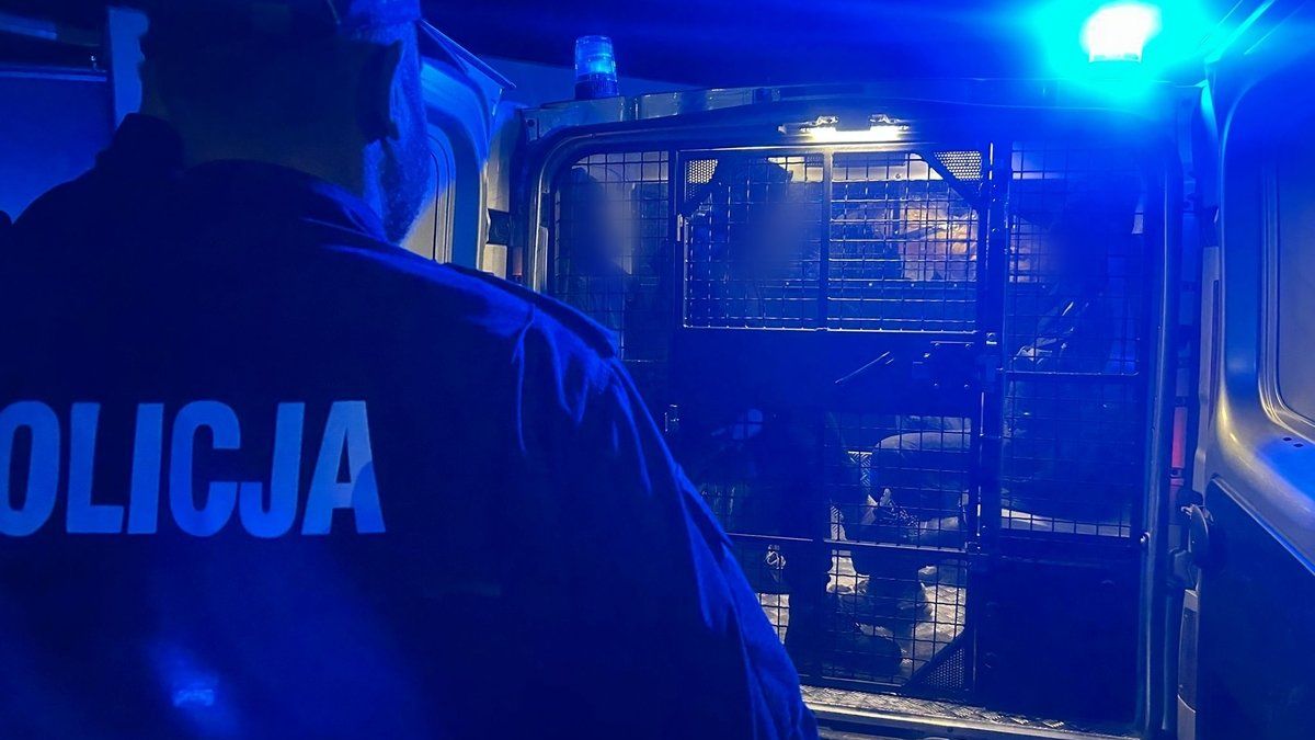 policja