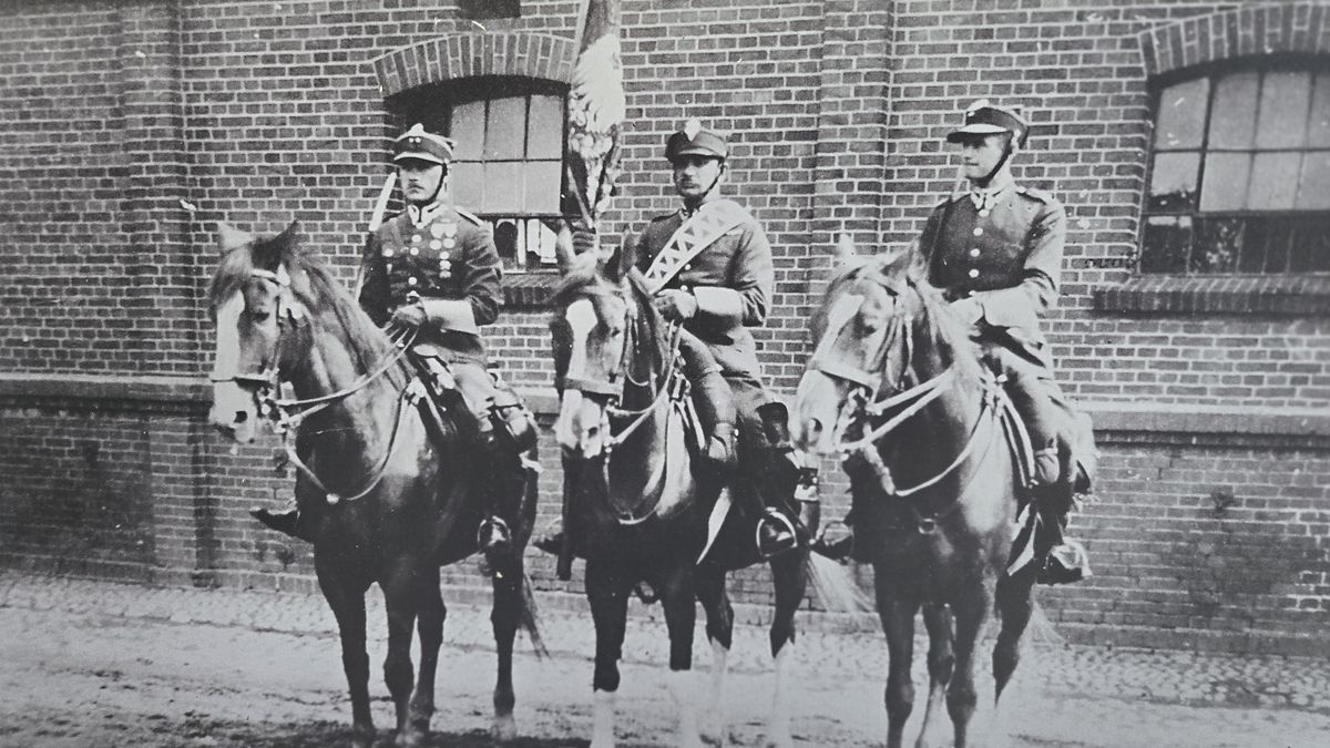 materiał prasowy Cavalia 