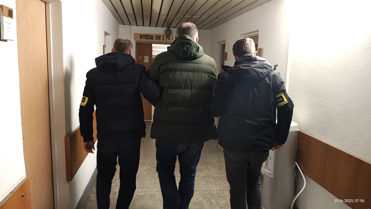 policja