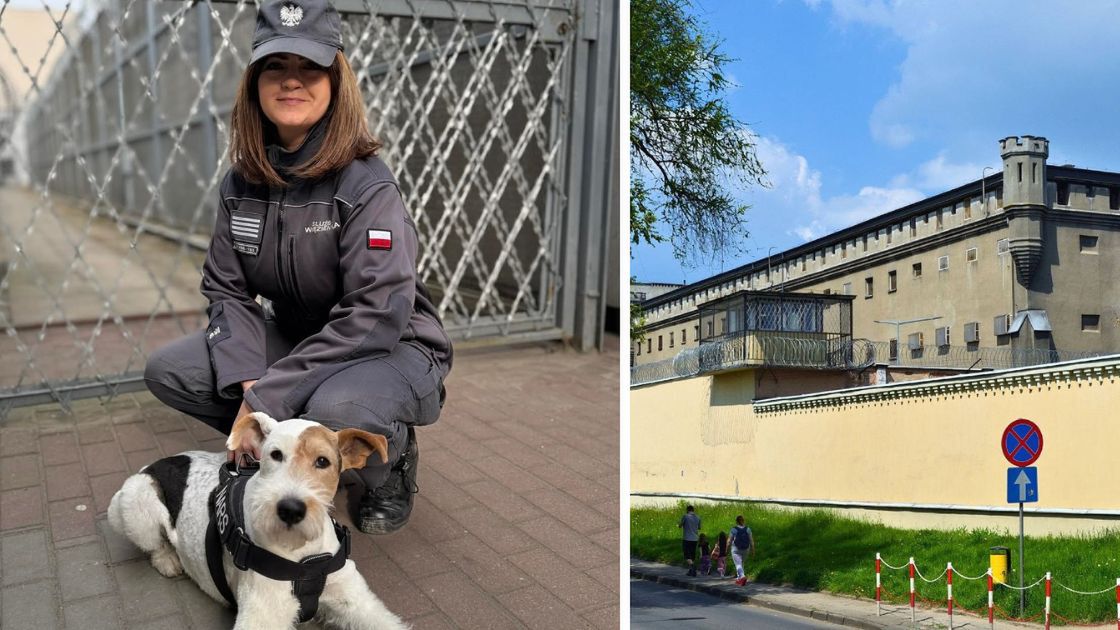 Funkcjonariuszka zatrzymała przemoc