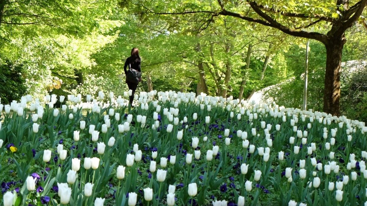 Park Mannheim