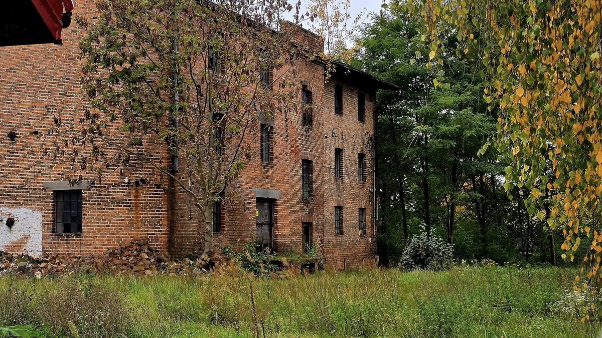 Muzeum i lepszy wjazd