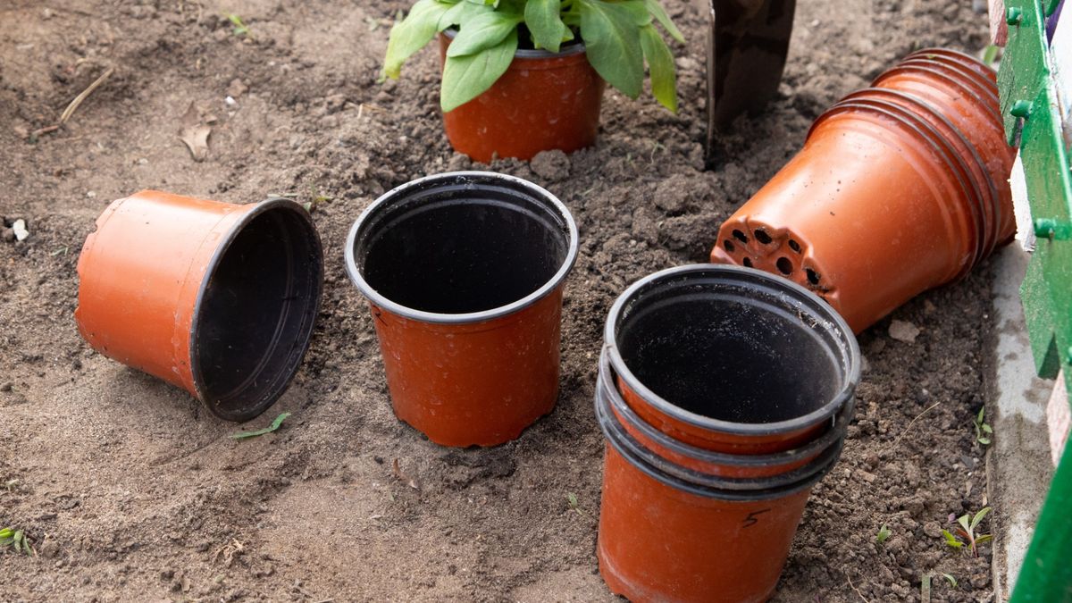 Plastikowe doniczki można wykorzystywać wielokrotnie