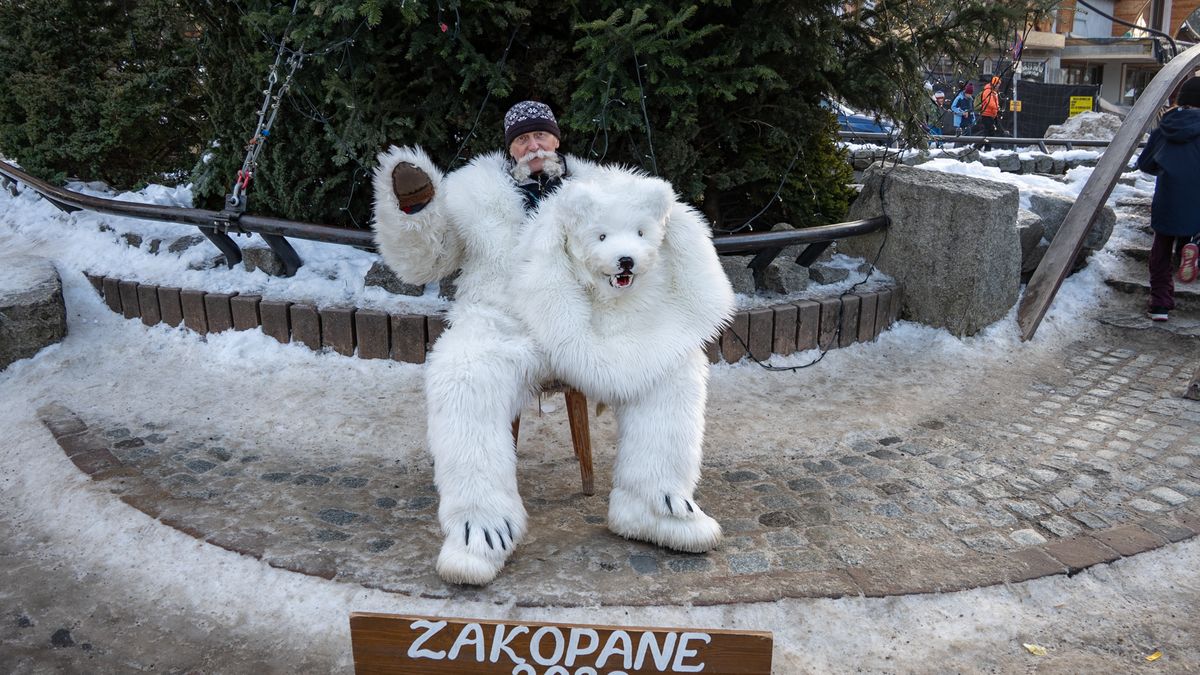 Misiek z Krupówek, Zakopane, Misiek, Krupówki