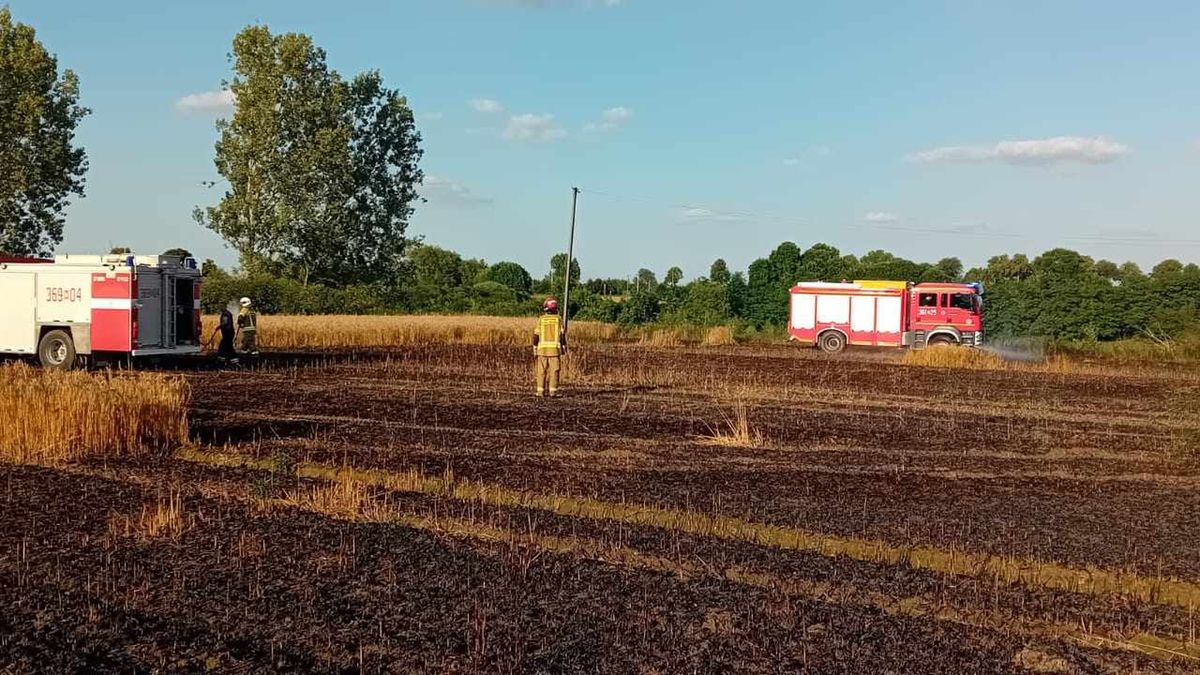 Pożar zboża na pniu w Kobiernikach