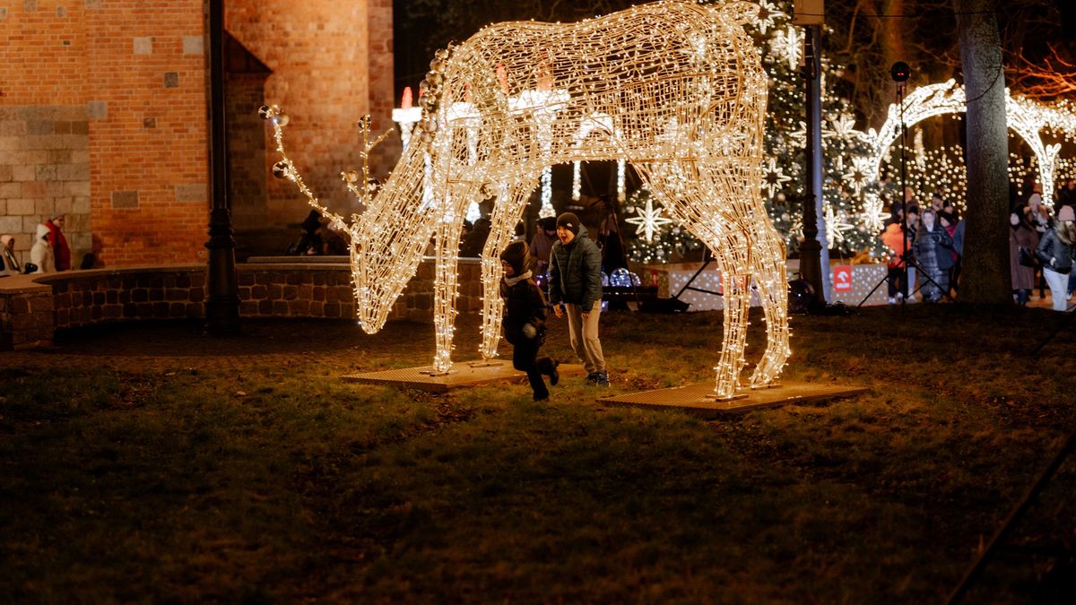 Płockie Ogrody Światła