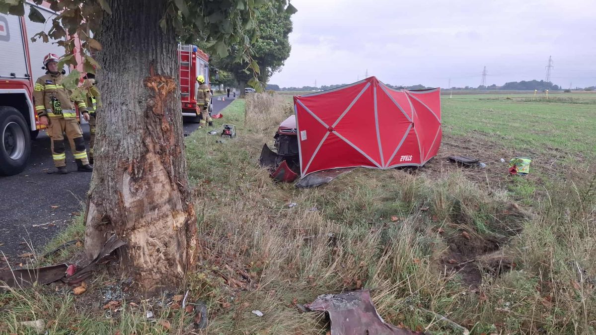 Wypadek między Trzcianką a Białą. fot. TVL Trzcianka