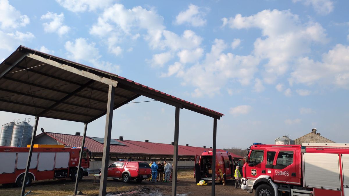 Akcja we wsi Kruszki