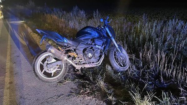 Zderzenie motocyklisty z sarną