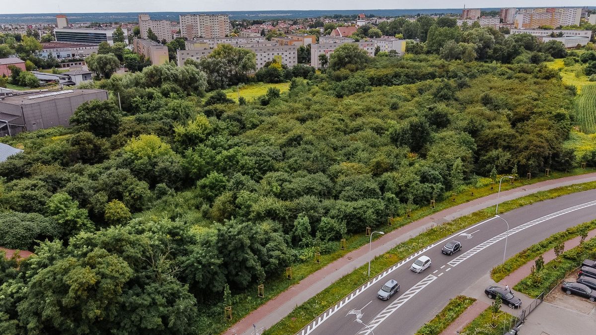 Dofinansowanie na utworzenie parku na Międzytorzu