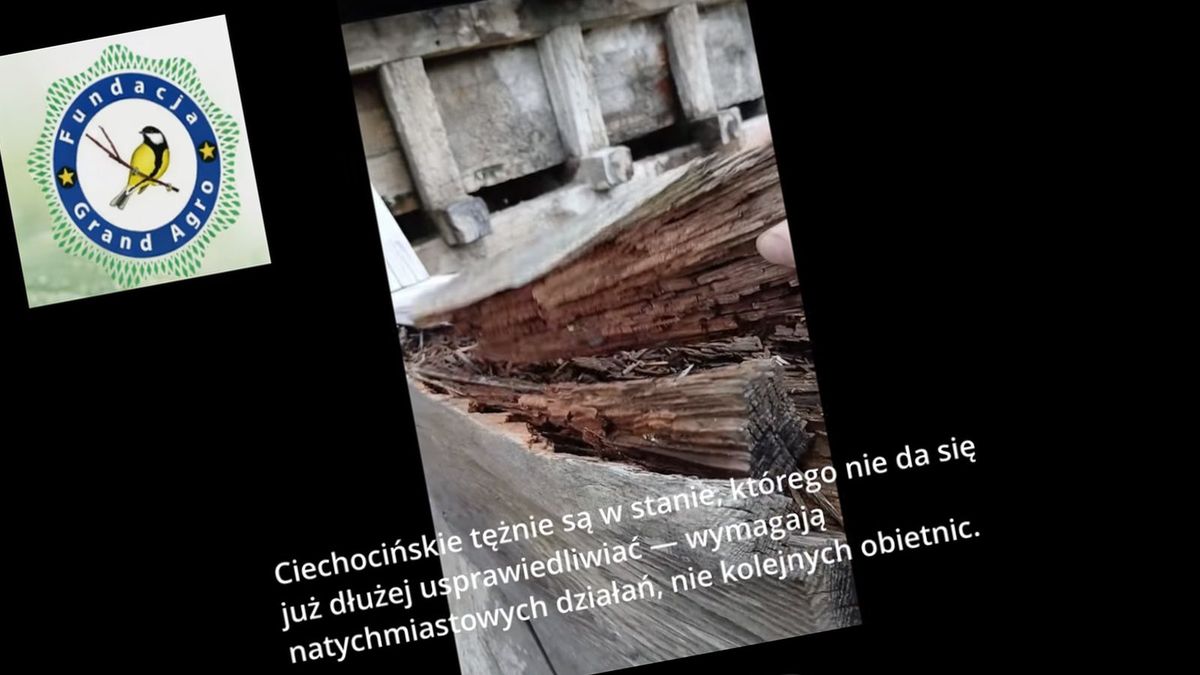 Dewastacja ciechocińskich tężni. Screen z wideo