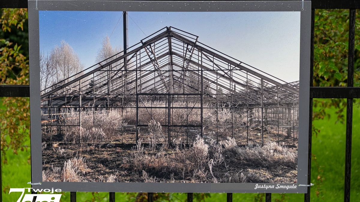 Wystawa, Park Miejski Piła, Piła