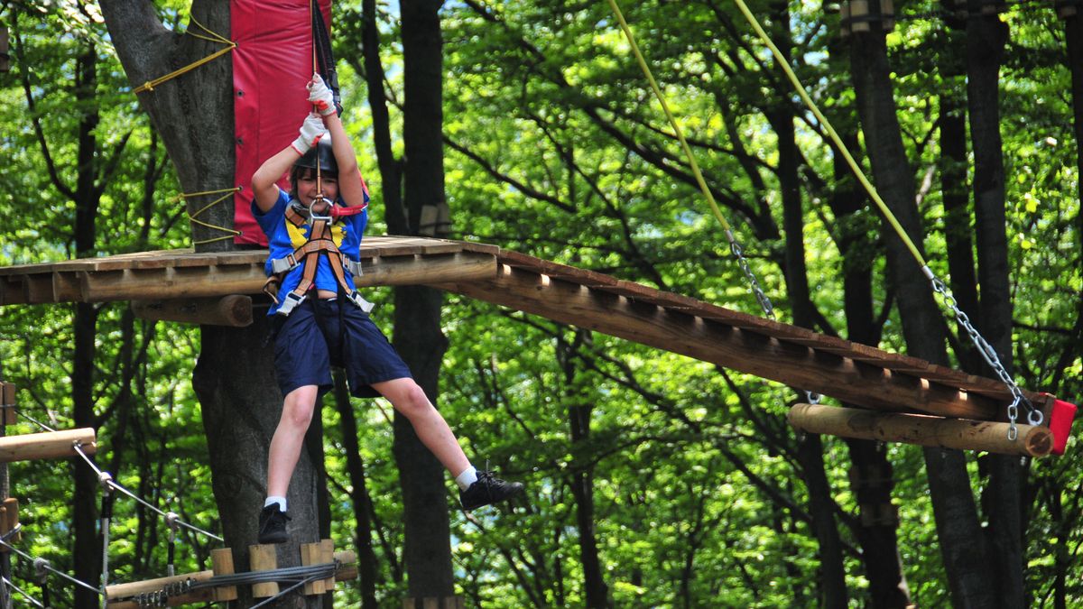 Foto ilustracyjne - Park linowy