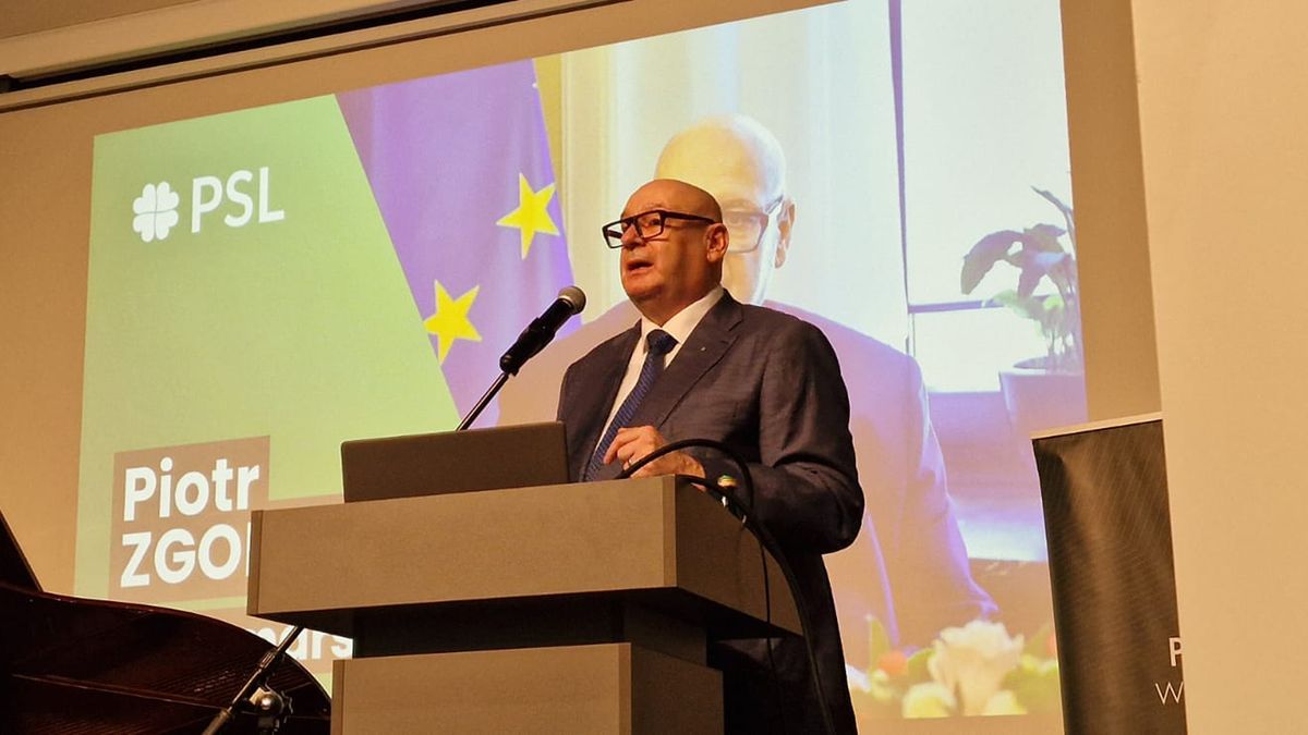 Piotr Zgorzelski 
Wicemarszałek Sejmu 
PSL 