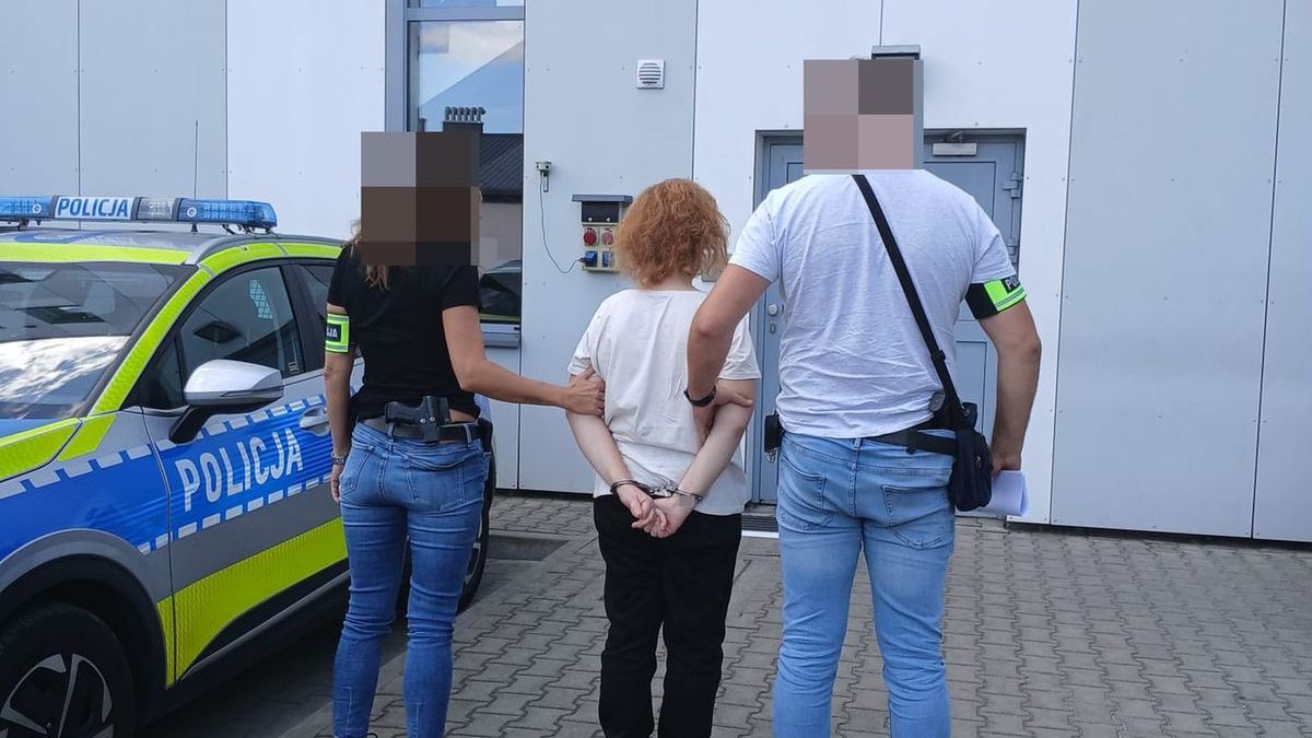 policja