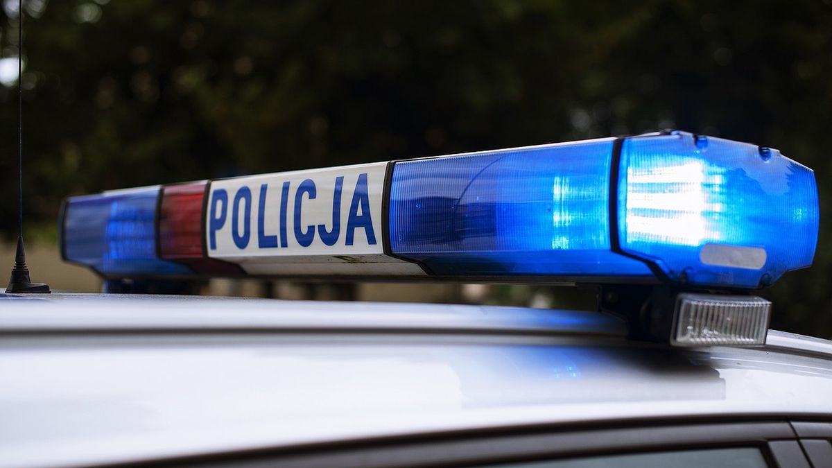 Policja 
