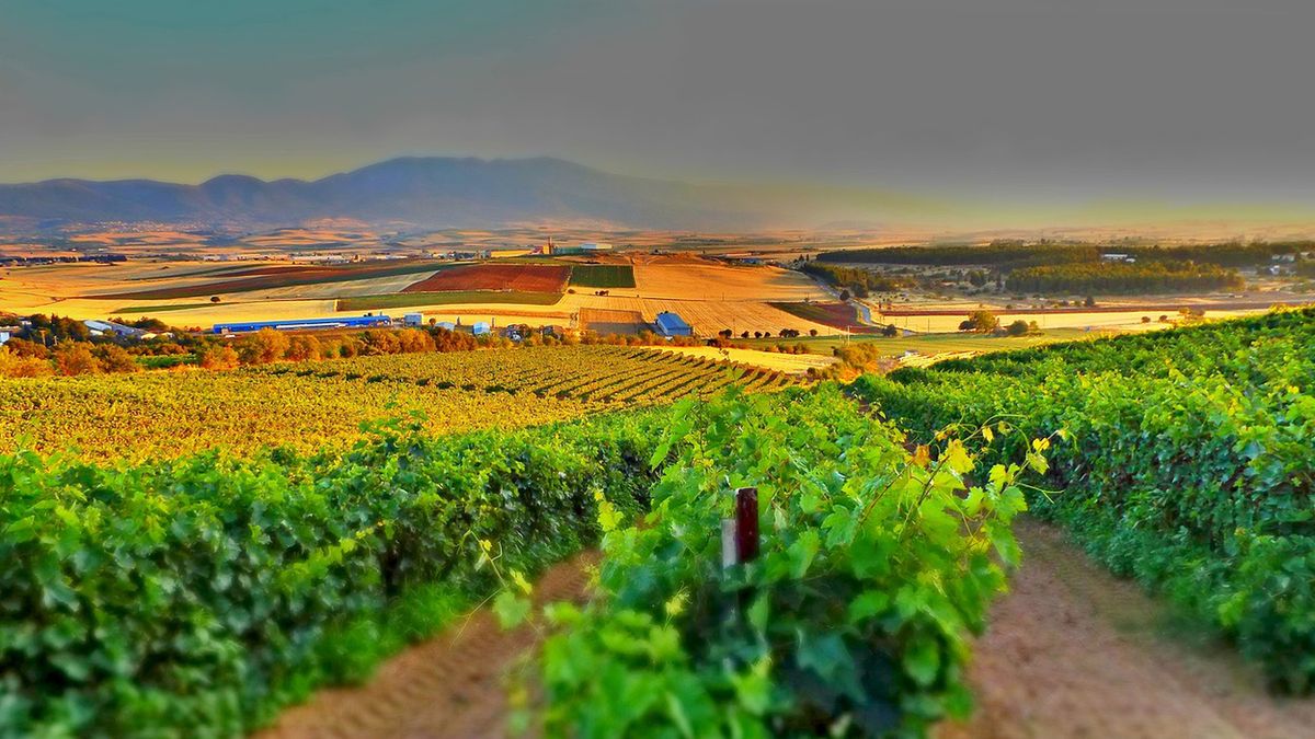 Burgundia