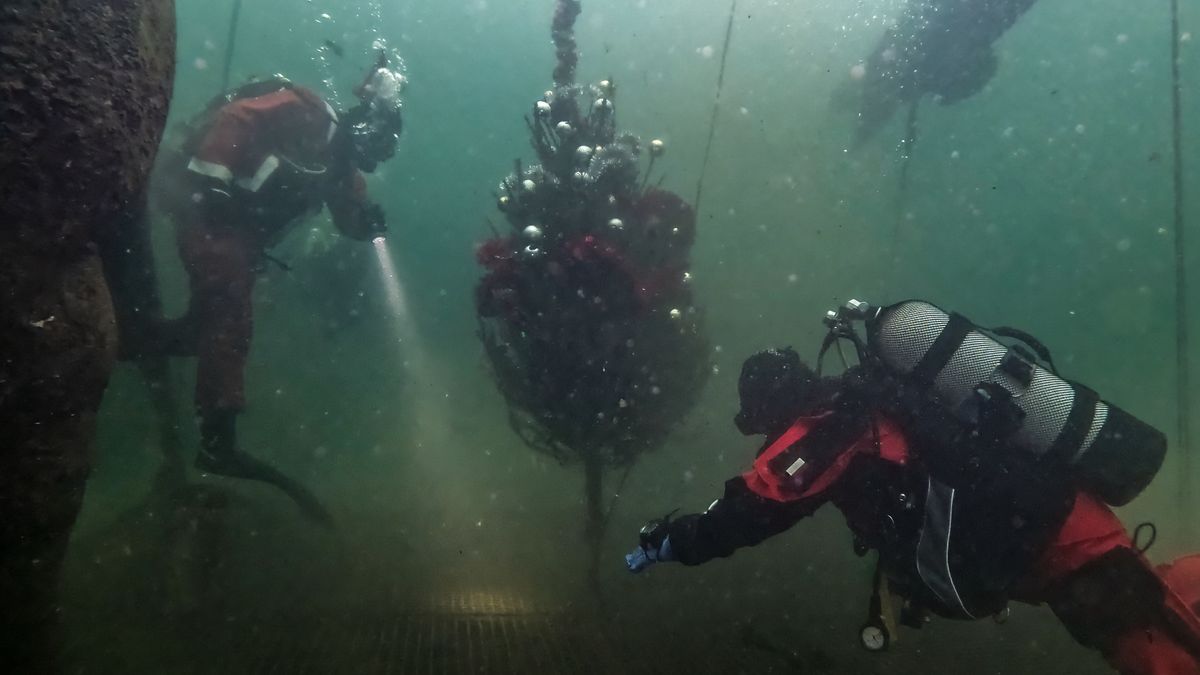 Podwodna choinka, Piła, Płotki