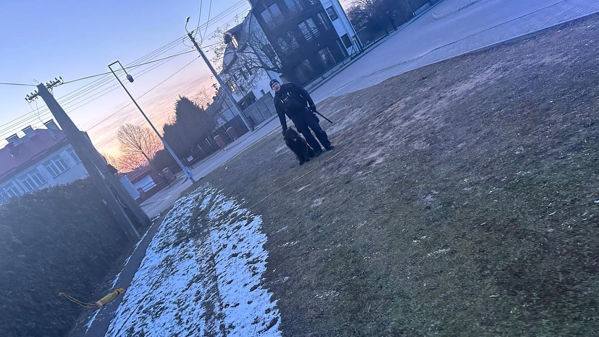 Szybka interwencja policjantów – uspokoili agresywnego psa na ul