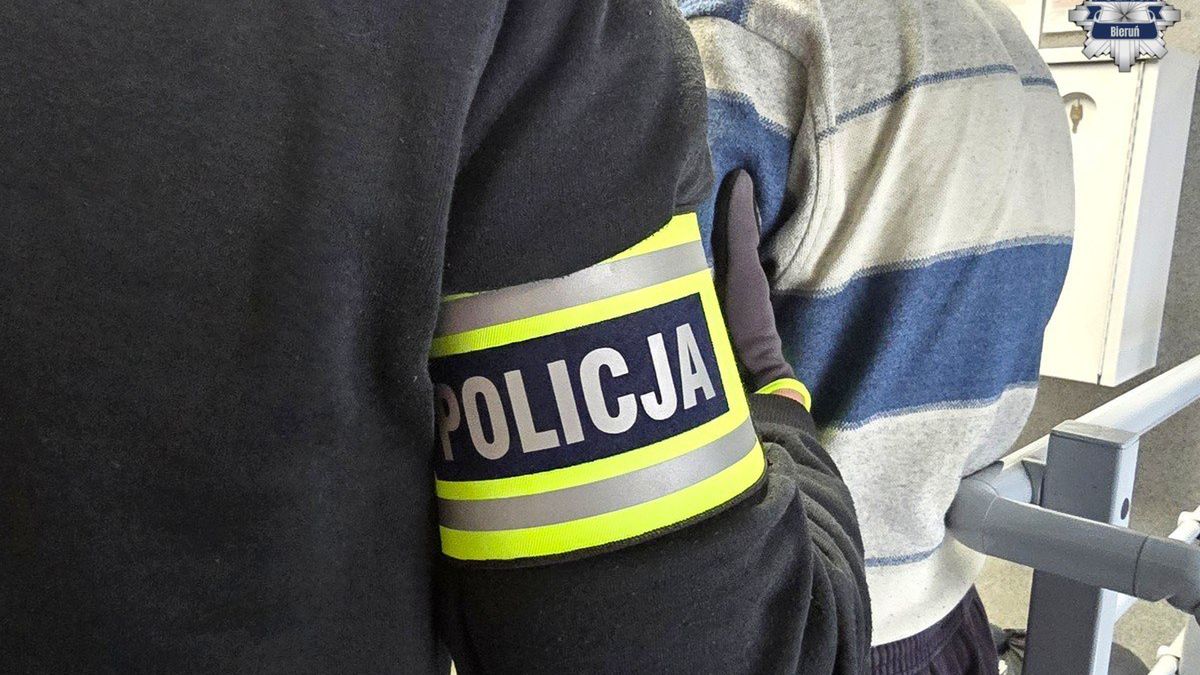 policja