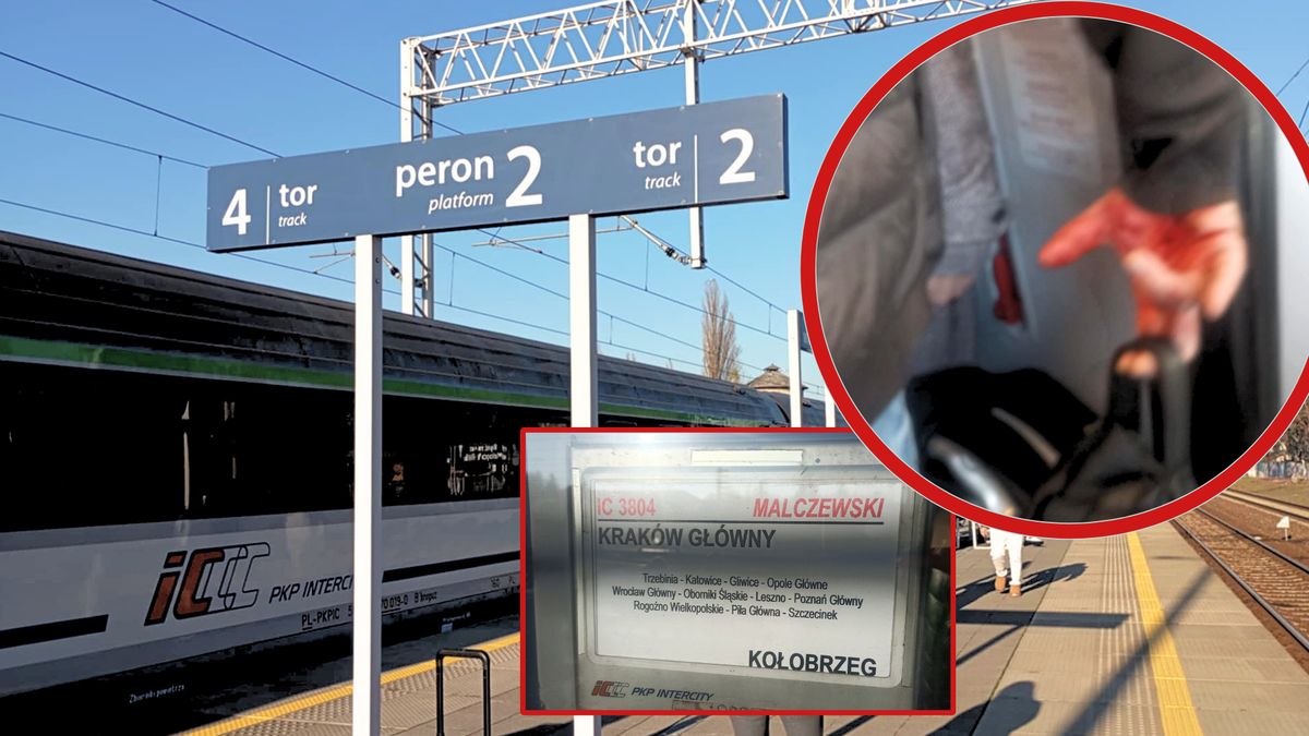 Bójka w pociągu IC Malczewski