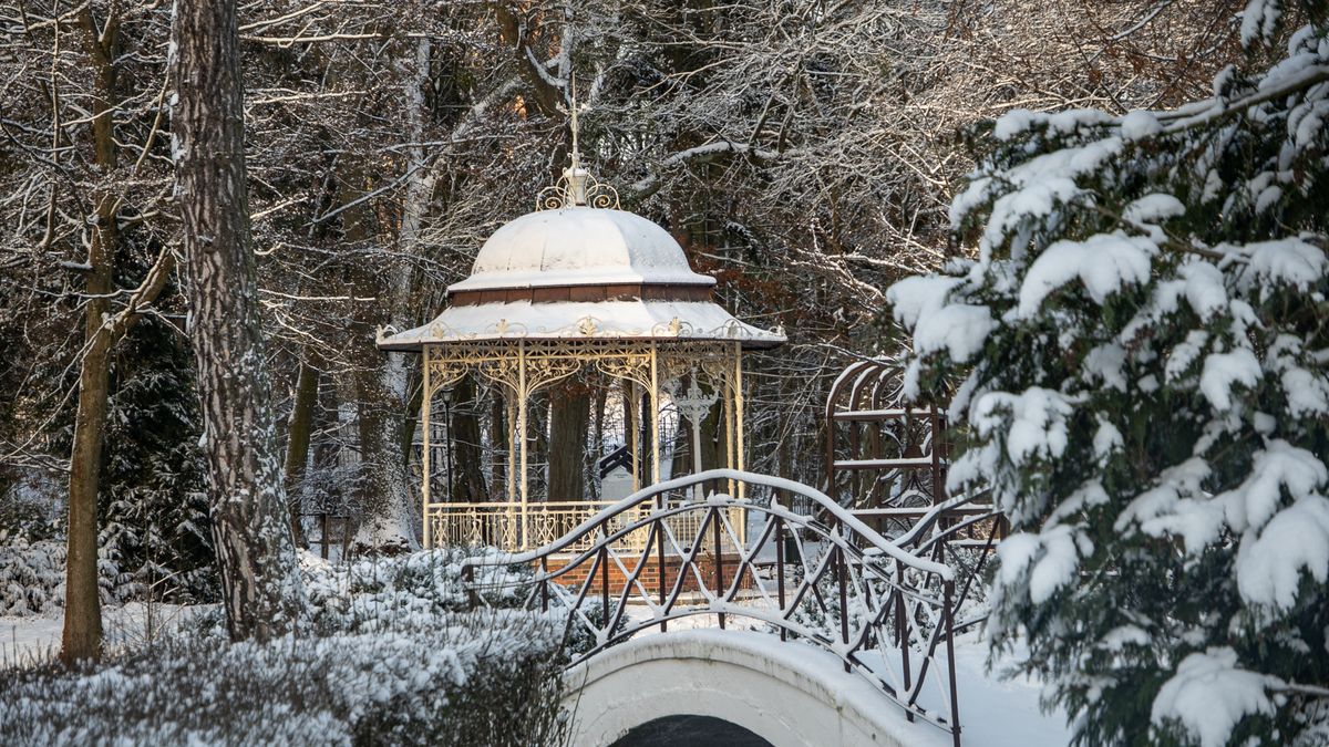 Park Miejski, Piła, styczeń 2026