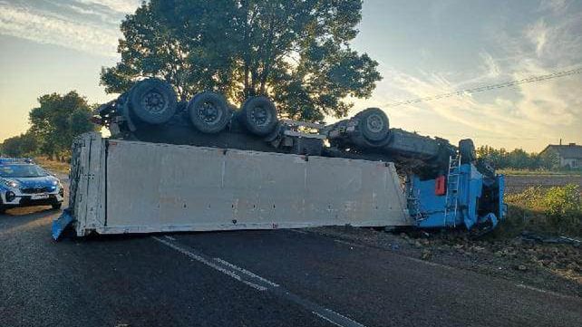 Buraki wyleciały na drogę