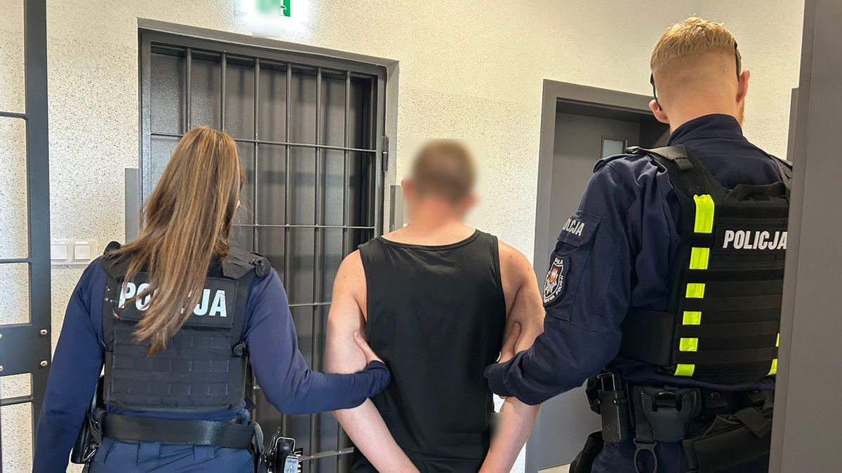 Zatrzymania dilerów