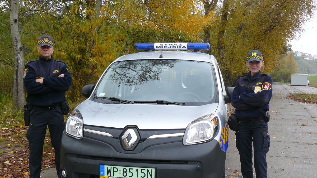 Praca jako strażnik miejski