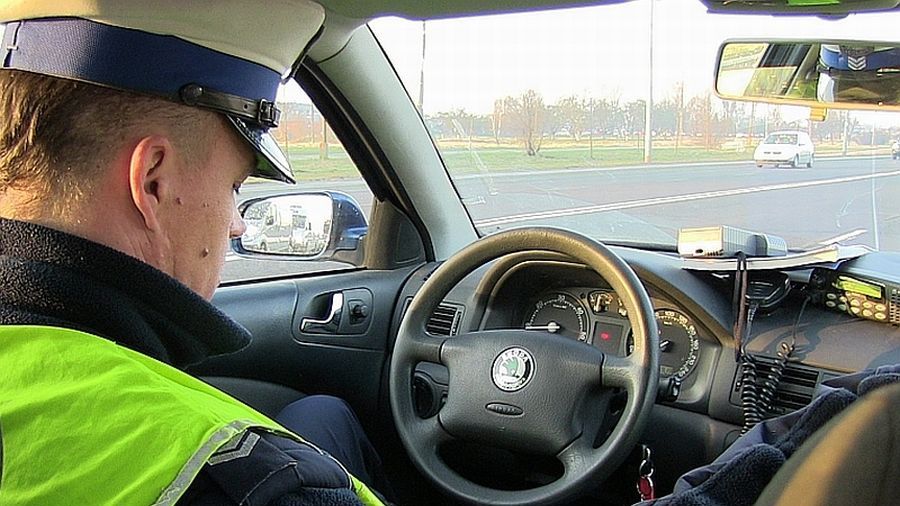 policja