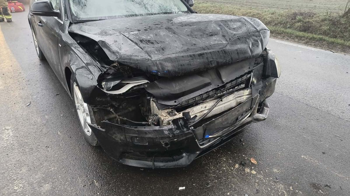 Zdarzenie w Sękowie