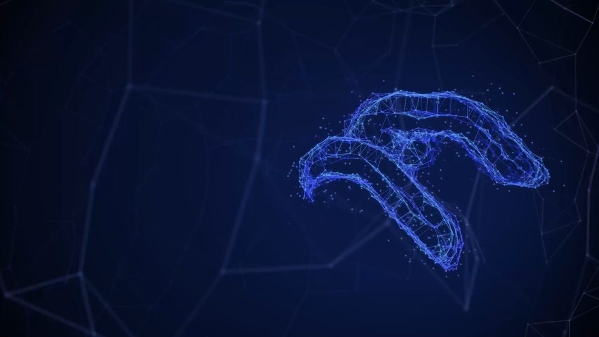 ORLEN Skylight accelerator