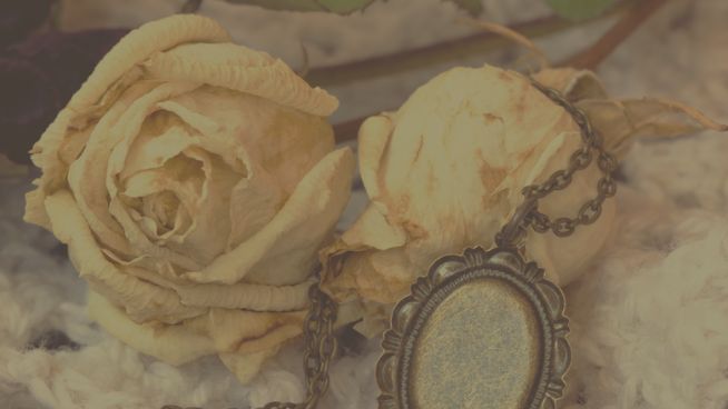 Pierwsza kwiaciarnia w Płocku