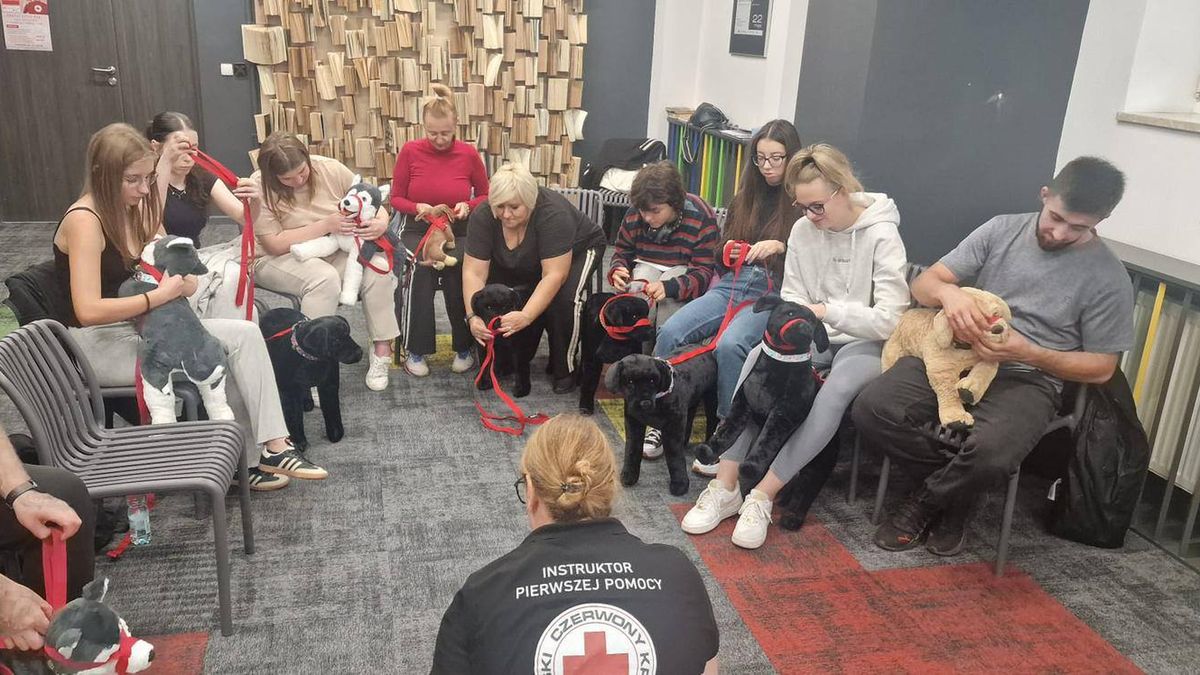 Pierwsza pomoc dla zwierząt 