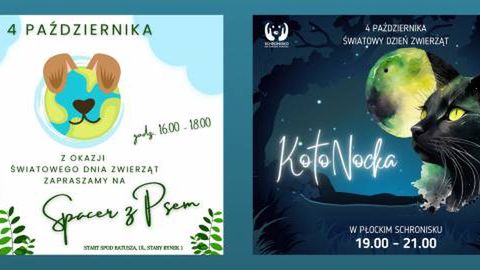 Schronisko dla zwierząt w Płocku 