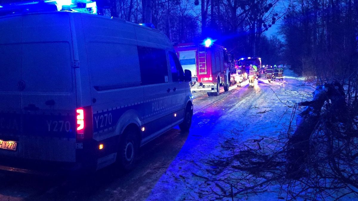 Auto uderzyło w drzewo 