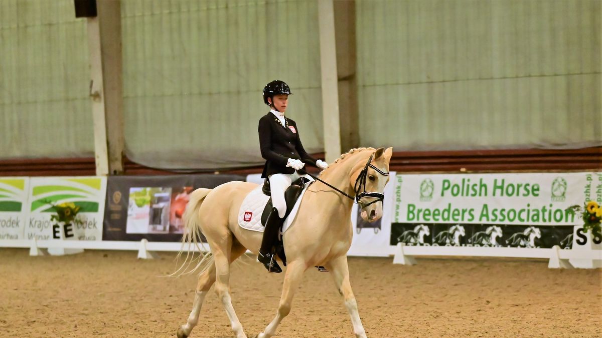 Stado Ogierów w Łącku 