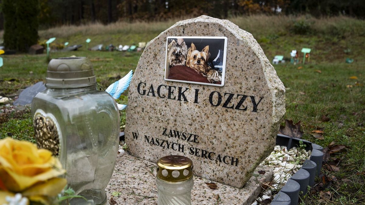 Cmentarz dla zwierząt w Pile - Leszkowie. 