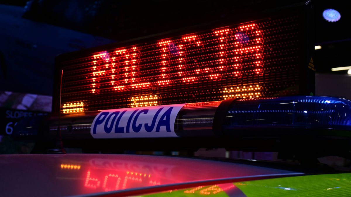 policja