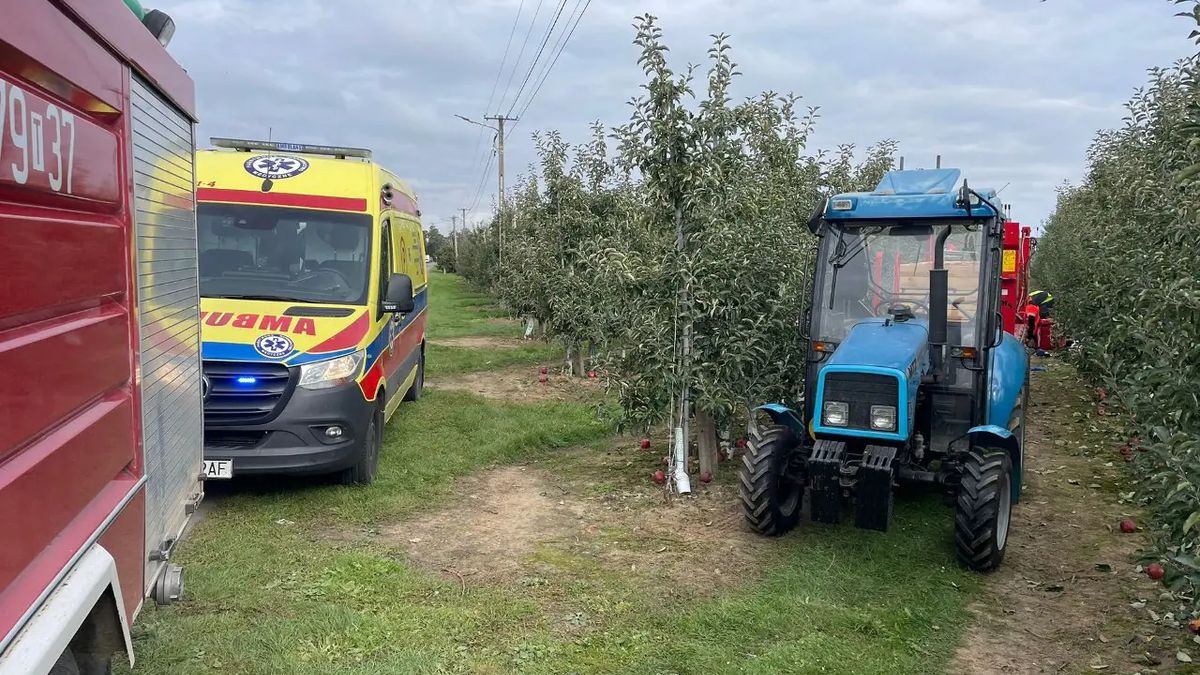 Zdjęcie dzięki uprzejmości SpottedAlert.pl