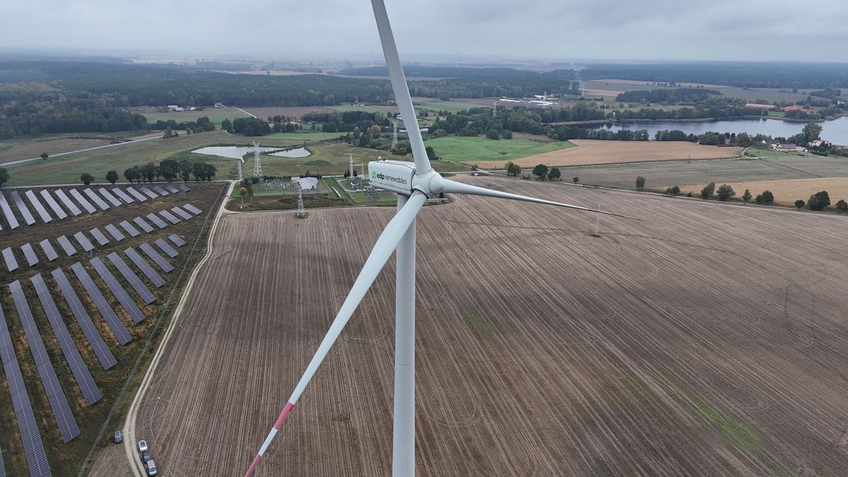 Farma wiatrowa Margonin