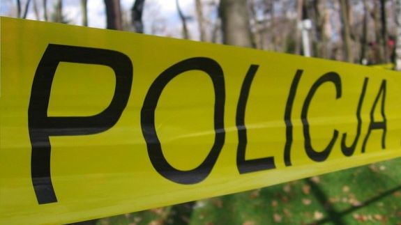 policja
