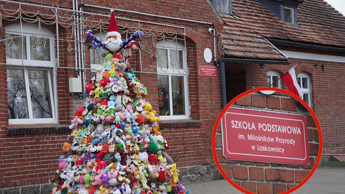 Choinka z pluszaków w Laskownicy.