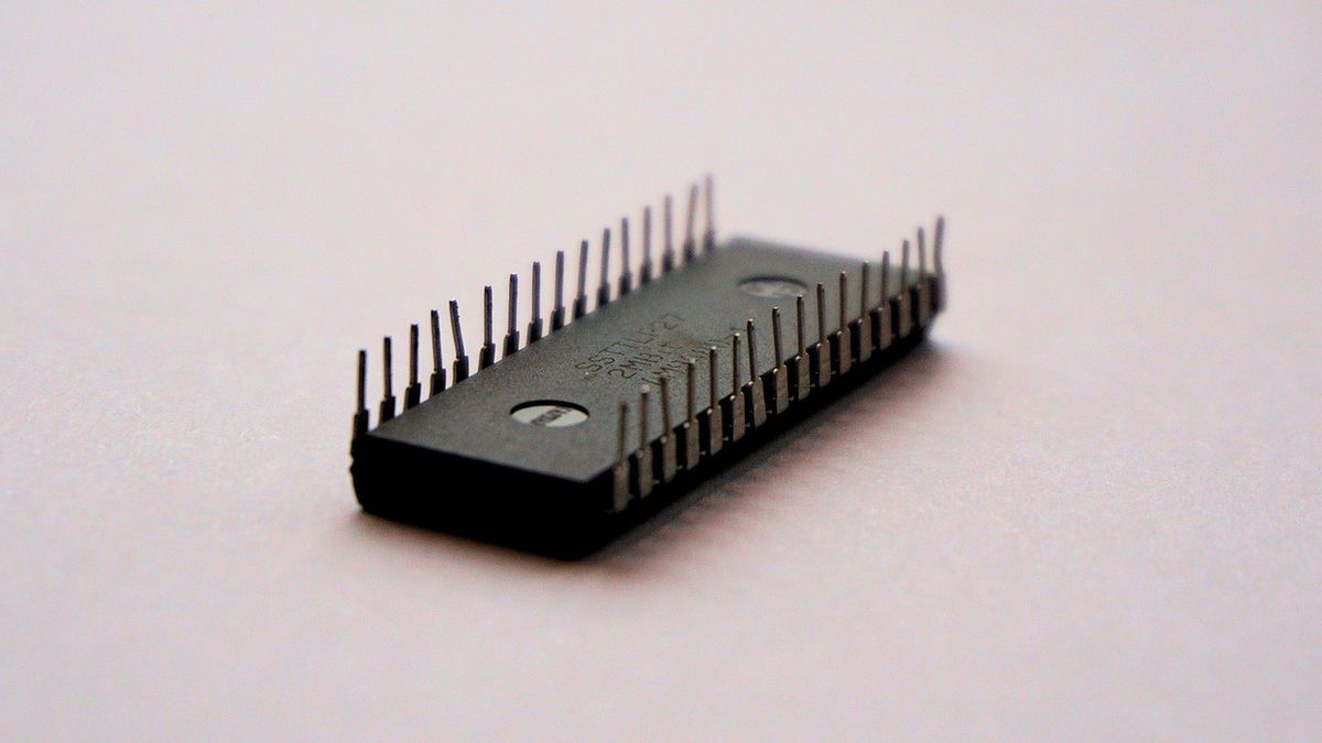 chip