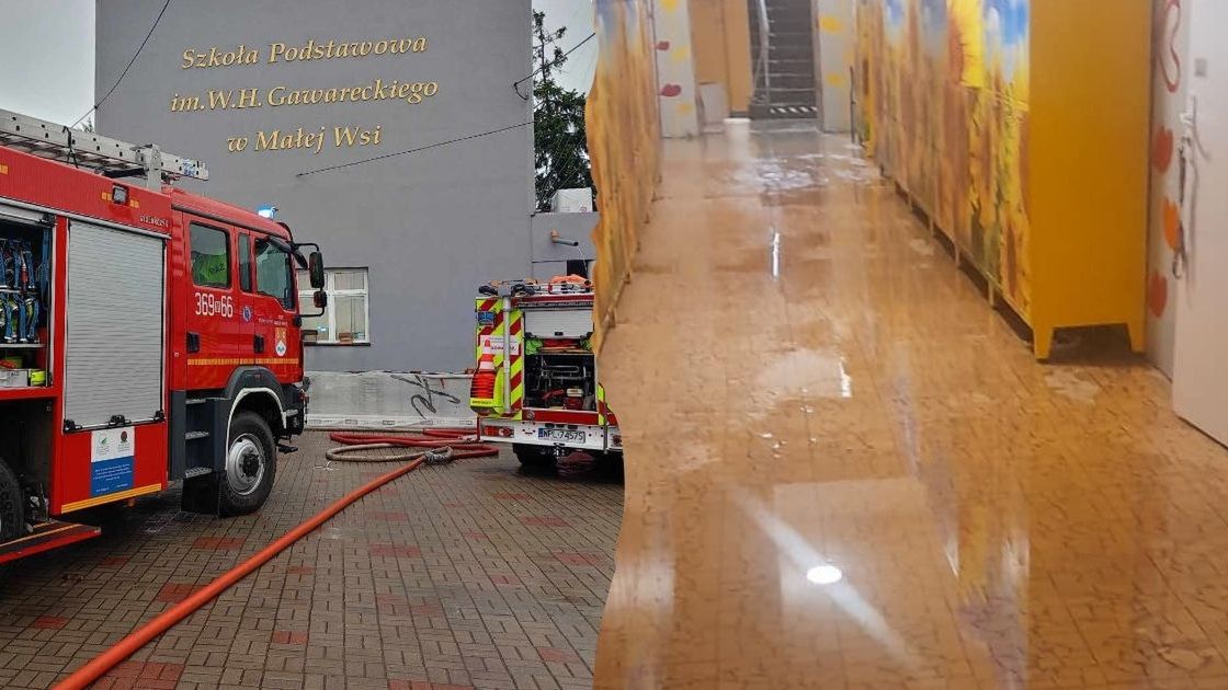 Zalane szkoły podstawowe 