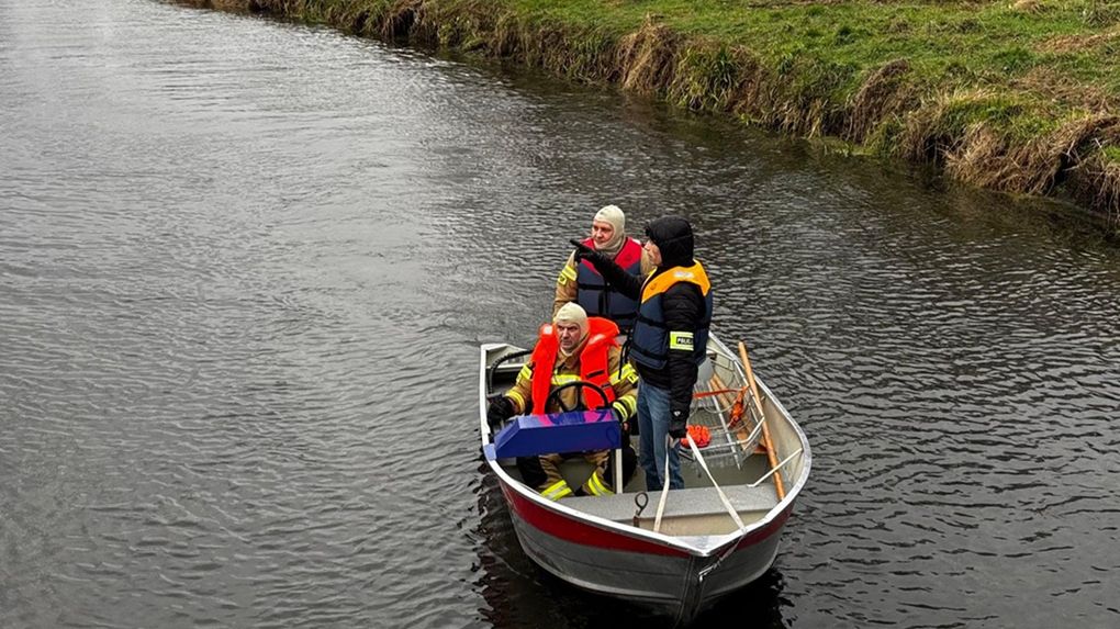 W trakcie poszukiwań